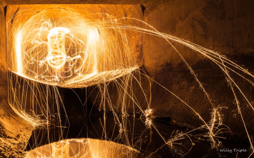 Willy Fire by DarkDay