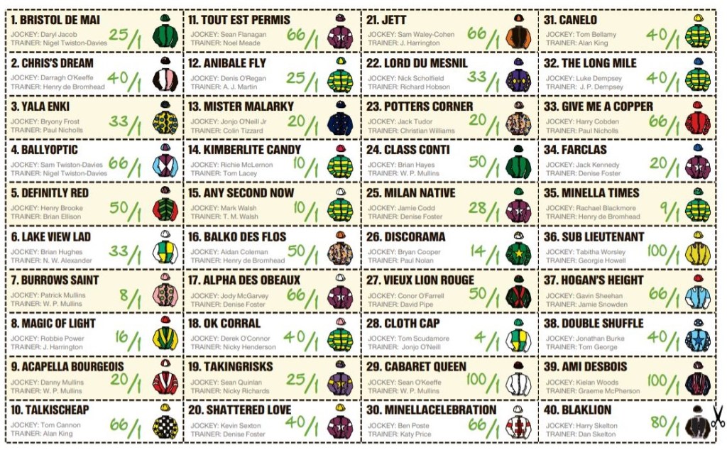 The Sun Grand National sweepstake kit