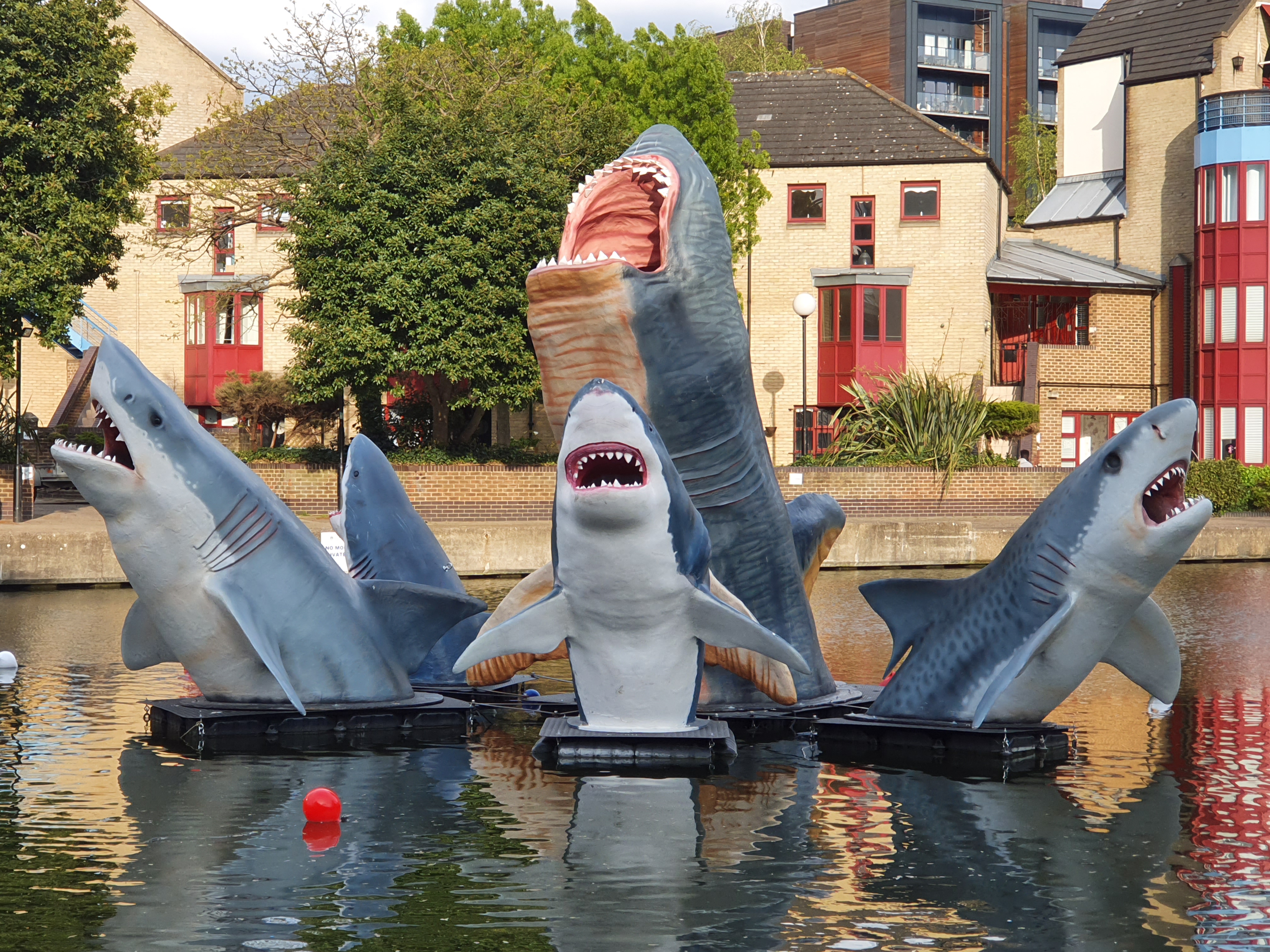 Fibreglass sharks on the Regent's Canal