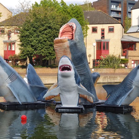 Fibreglass sharks on the Regent's Canal
