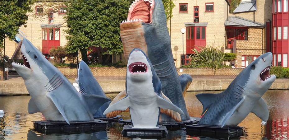 Fibreglass sharks on the Regent's Canal