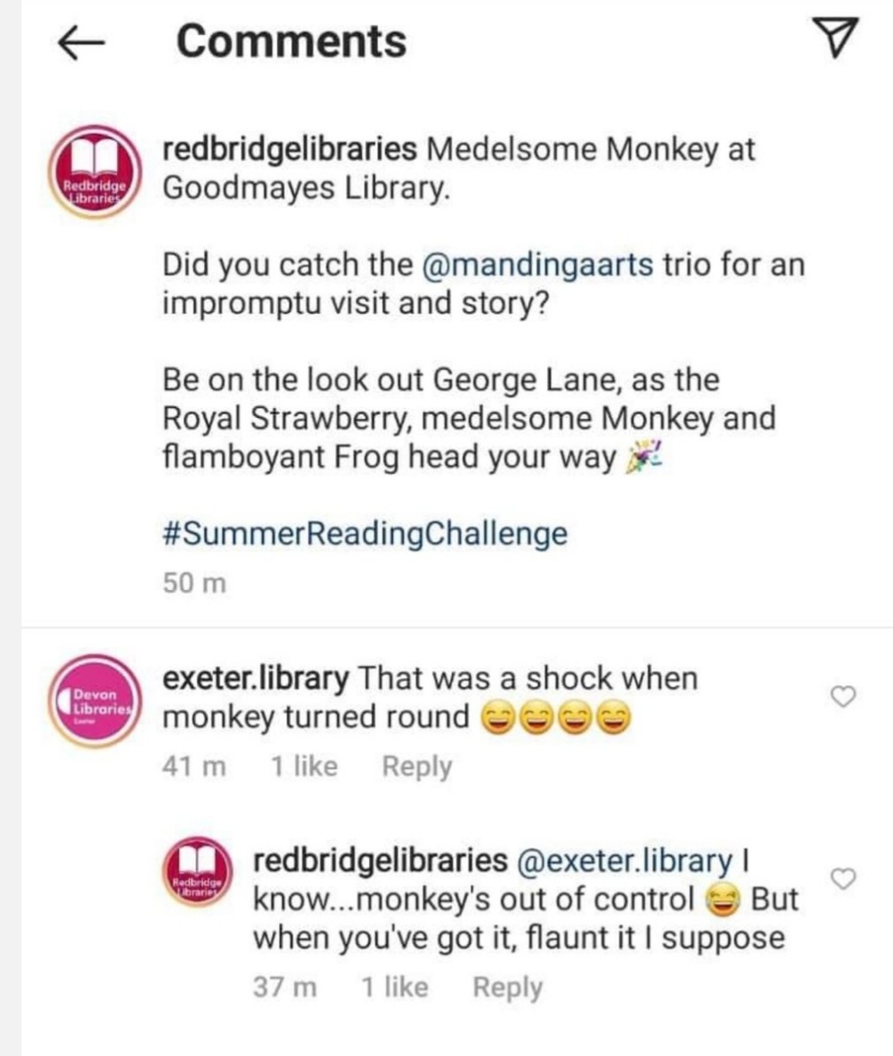 Medelsome Monkey social media posts