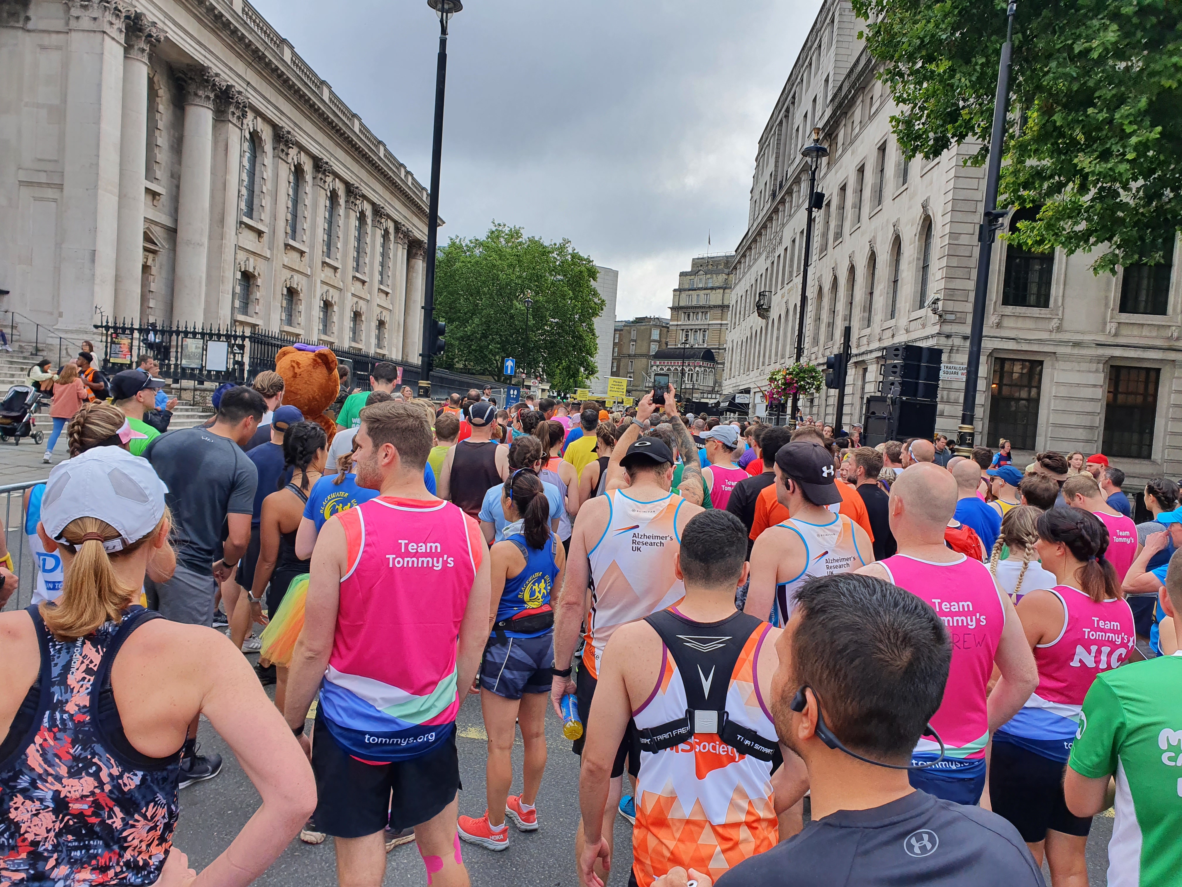Waiting in the Cheetah pen