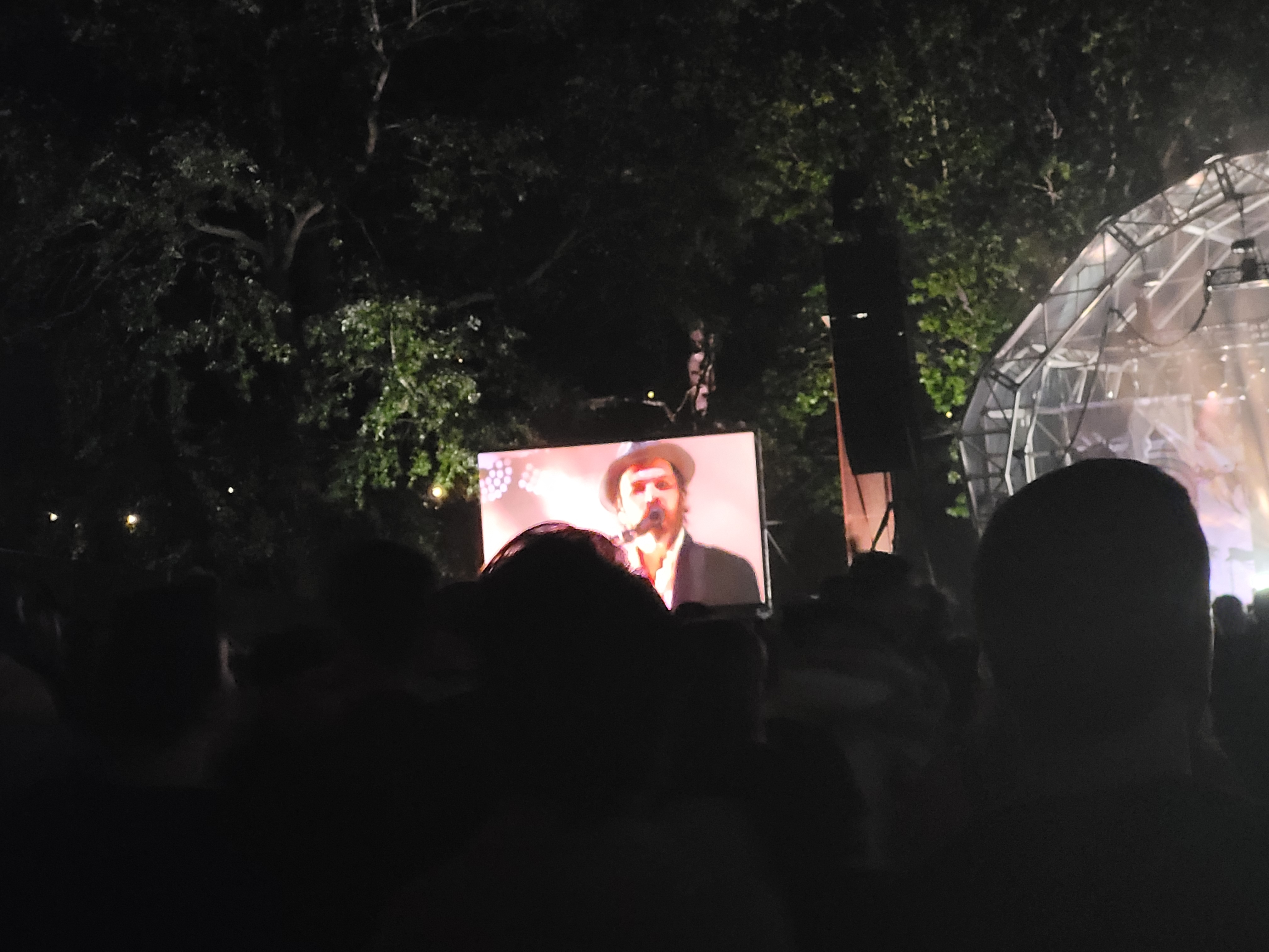 Supergrass by Daisy Hayden 2