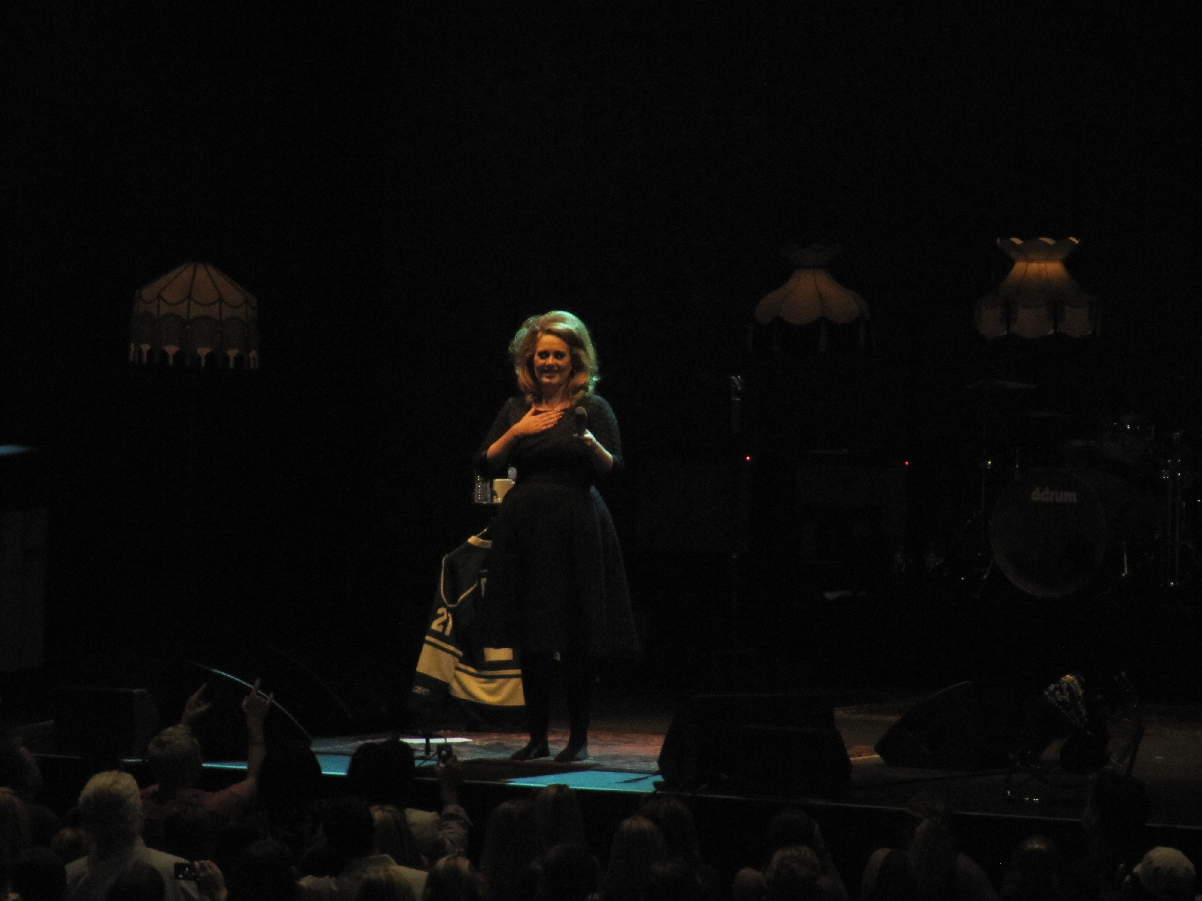 Adele concert