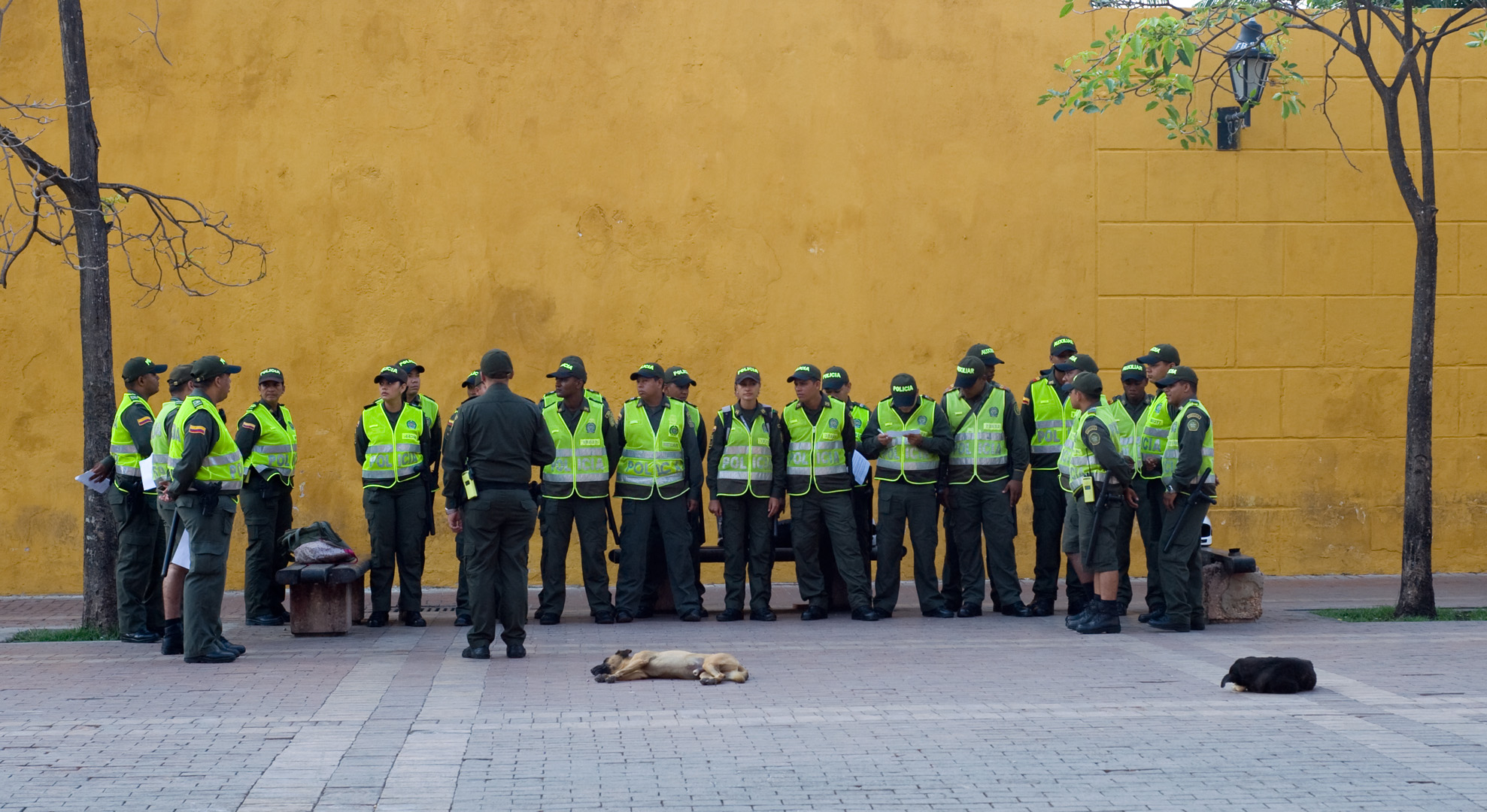 A dog sleeps soundly while a group of men in high vis jackets and caps look on