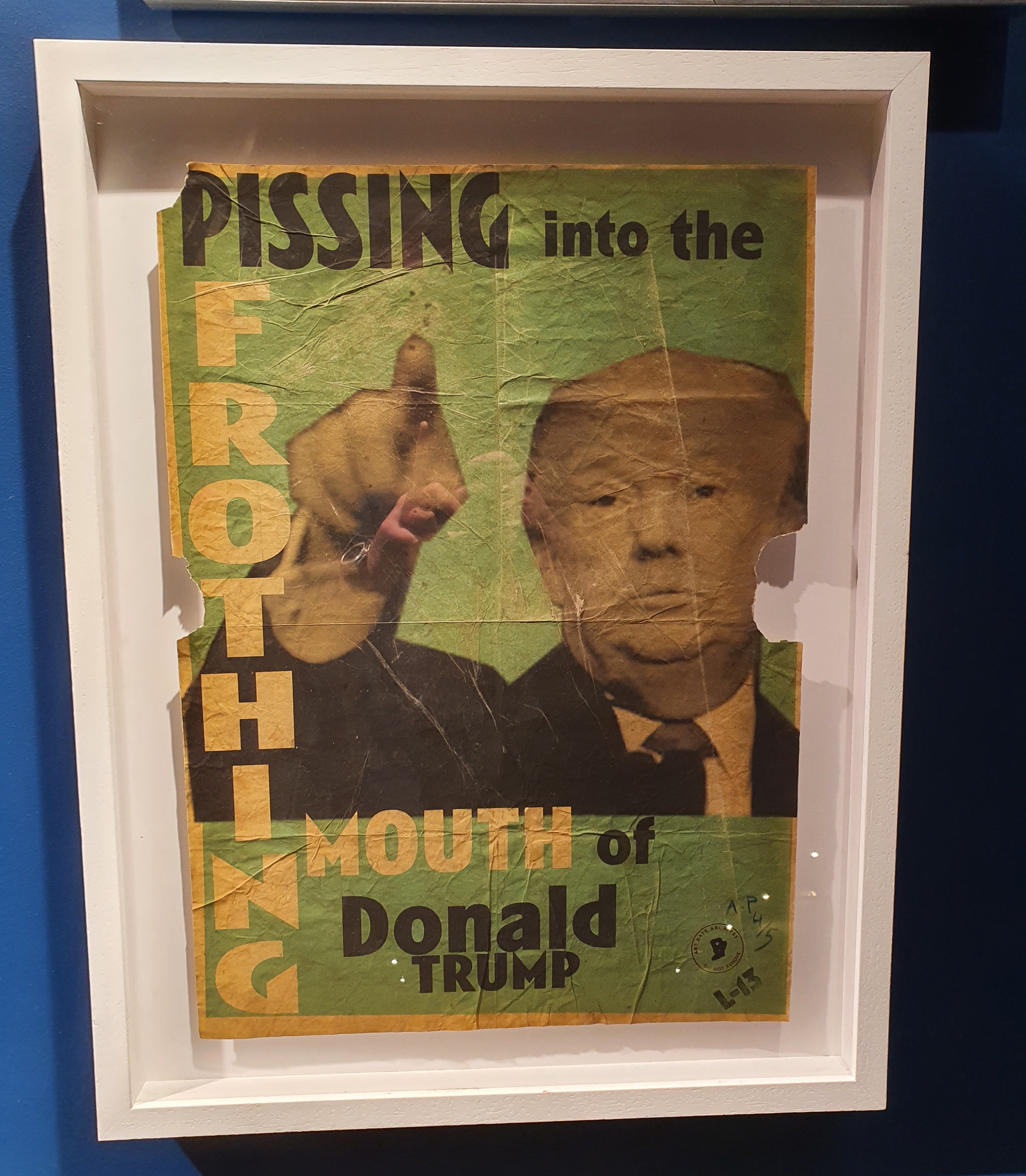 Donald Trump picture